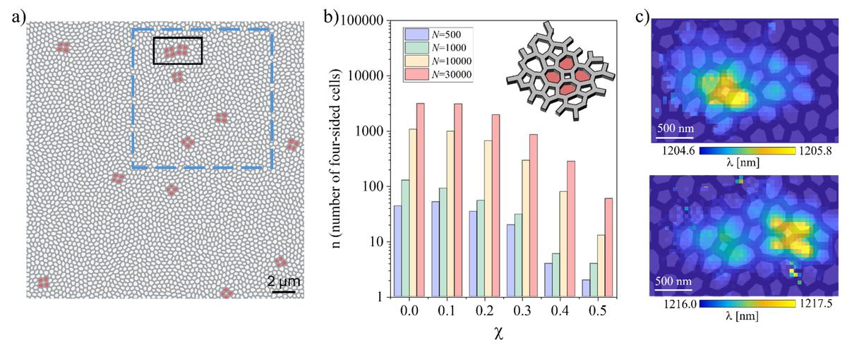 Lifshitz-like States in Hyperuniform Disordered Photonic Networks