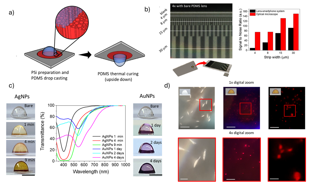 4D Plasmon-Encoded Polydimethylsiloxane Lenses for Portable Fluorescence Microscopy of Microorganisms