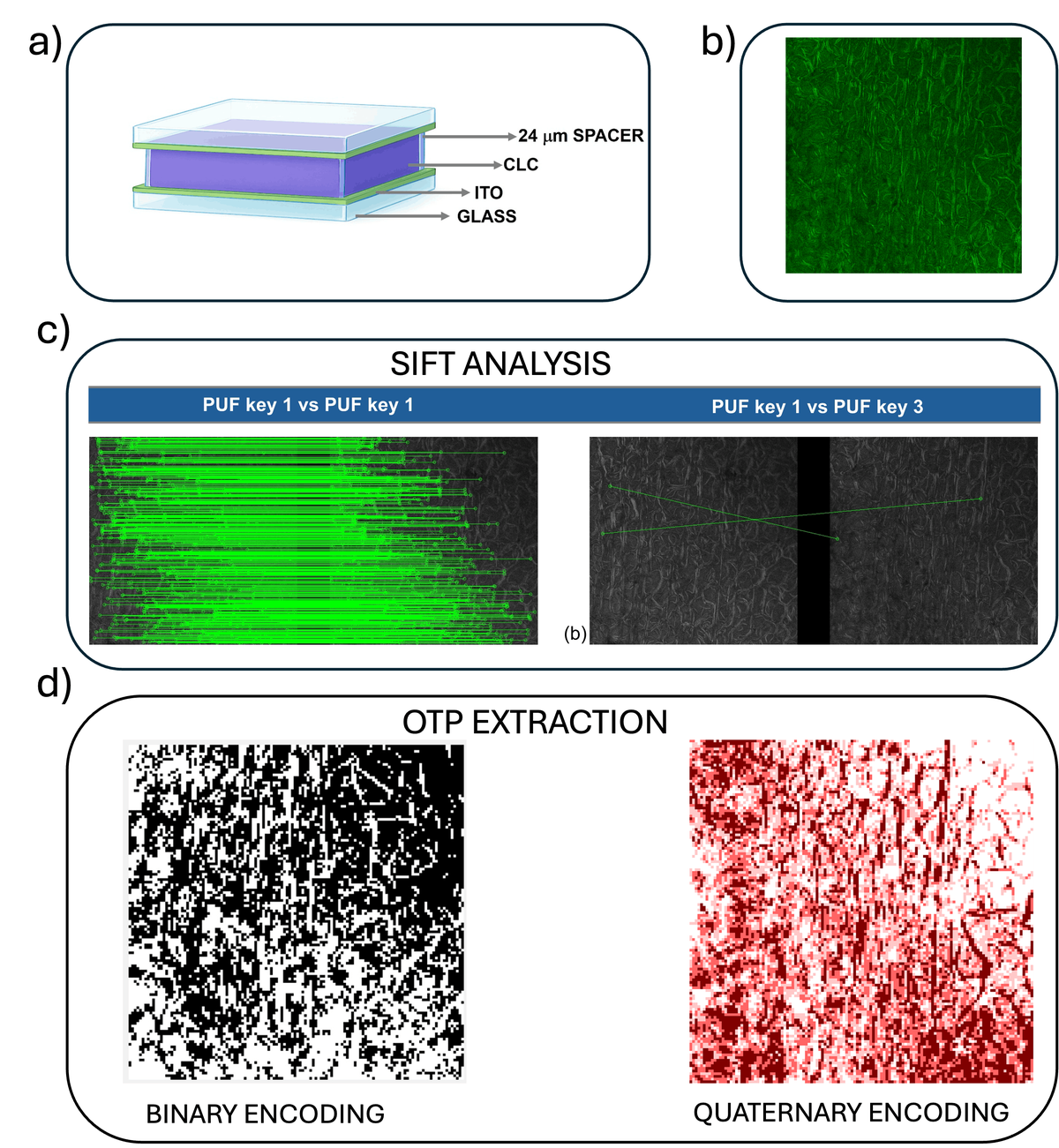 Exploiting Cholesteric Liquid Crystals based Physical Unclonable Functions for One Time Password generation