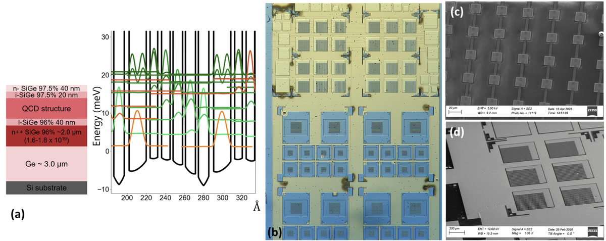 Design, material growth and fabrication of ISB-based antenna-coupled detectors in Ge-rich SiGe heterostructures