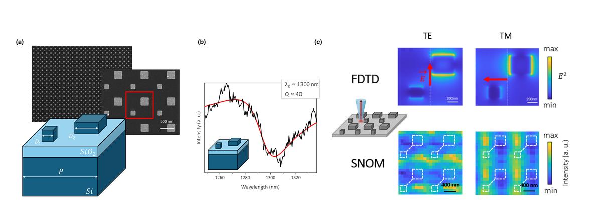 Imaging Quasi-BIC Modes in Silicon Metasurfaces with Hyperspectral Near-Field Microscopy