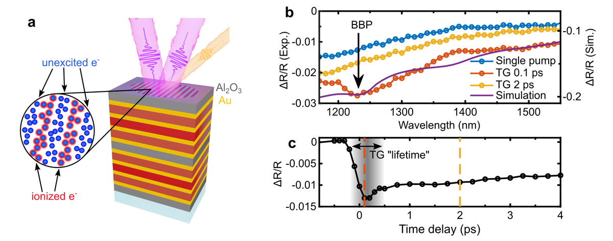 Spatiotemporal excitation of Bloch plasmon polaritons in hyperbolic metamaterials