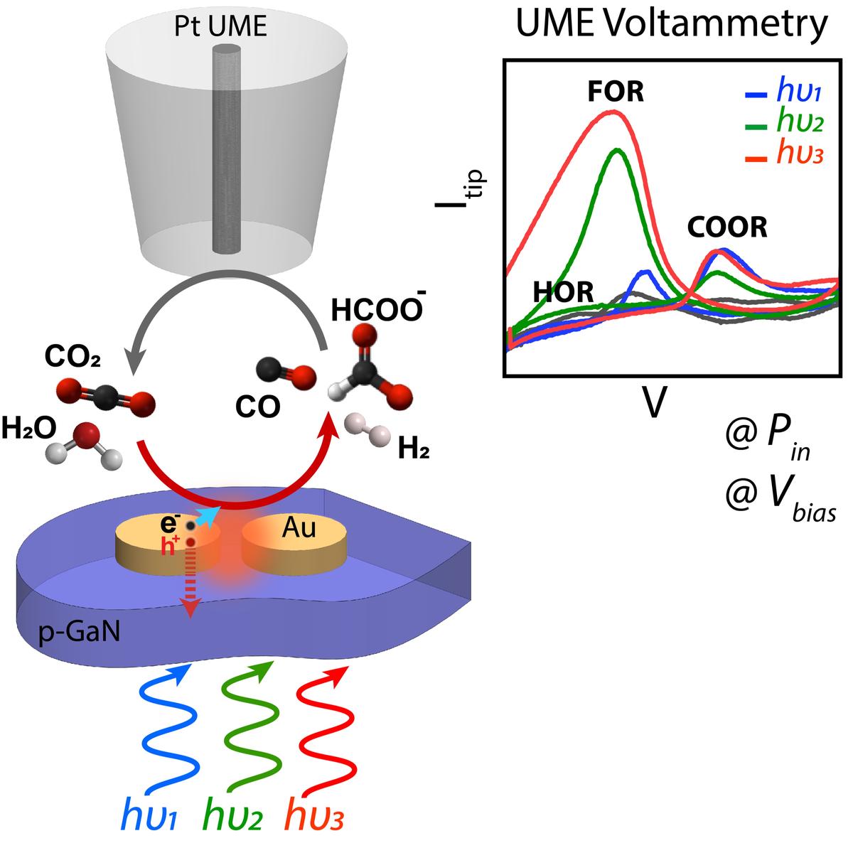 Probing Plasmonic CO2 Reduction Catalysis: Wavelength- and Size-Dependent Selectivity
