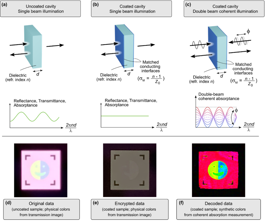 Probing Concealed Fabry-Pérot Resonances Using Dual-Beam Coherent Absorption