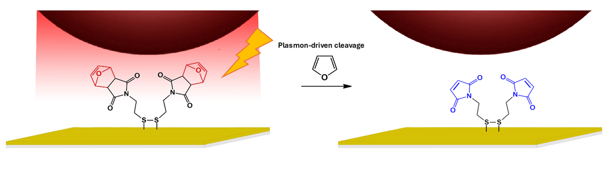 Plasmon-Driven Retro-Diels--Alder Reactions at the Single-Particle Level in Nanoparticle-on-Mirror Nanocavities
