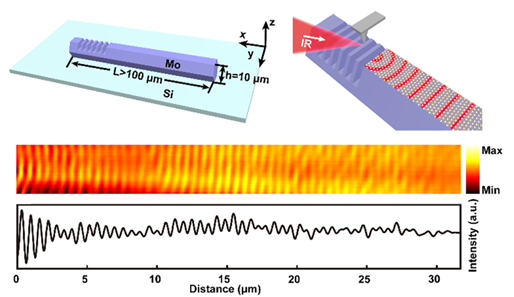 Real Space Visualization of Plasmons using Scattering SNOM