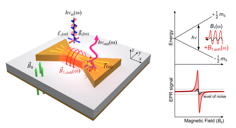 Plasmonic Metasurface Resonators for Terahertz Magnetic Resonance Investigating 2D Magnetic Materials