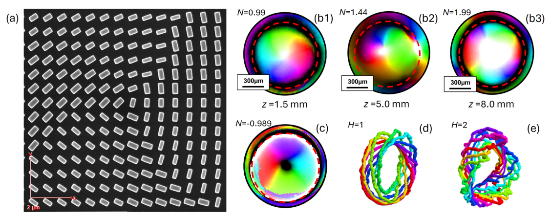 Generation and topological reconfiguration of 2D and 3D skyrmions via spin-decoupled metasurfaces